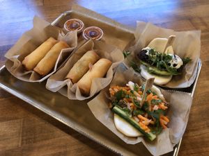 Vegan spring rolls and bad buns at Banh Mi Station in Dallas