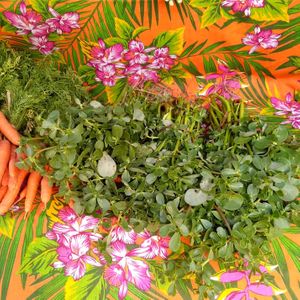 Baldroaga - banca que vemde PANCS e flores comestíveis at Feira Ecologica do Bairro Auxiliadora in Porto Alegre