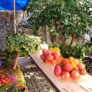 Local simpático at Feira Ecologica do Bairro Auxiliadora in Porto Alegre