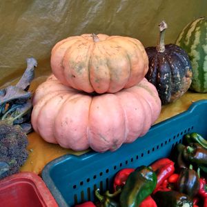 Abóboras deliciosas at Feira Ecologica do Bairro Auxiliadora in Porto Alegre