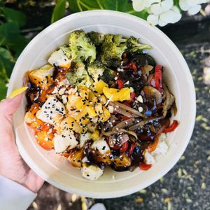   at World Wrapps in Corte Madera