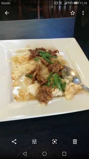 Rice veggie with "pork" at 3G Vegetarian Restaurant in Vancouver