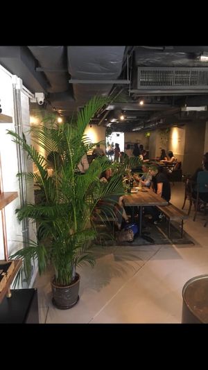 Interior at Mana! - Wan Chai in Hong Kong Island