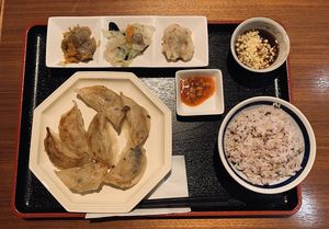 Gyoza lunch set at Muku Taiwanese Vegetarian Food in Kyoto