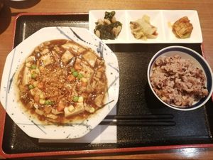 Mabo tofu at Muku Taiwanese Vegetarian Food in Kyoto