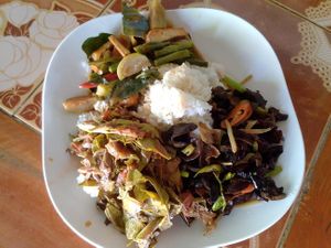 leaves I cannot identify at Maesai Health in Mae Sai