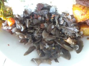 possibly lotus? at Maesai Health in Mae Sai