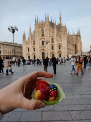 Crostatina alla frutta at Leccornie in Milan