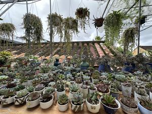   at Phin Coffee in Hoi An