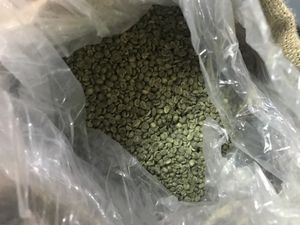 Fresh beans from a small local co-op of farmers  at Phin Coffee in Hoi An