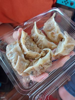 Takeaway gyoza at Vegetarian in Rayong