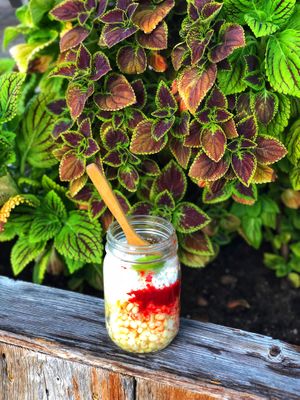 Corn in my own cup ;) at The Green Table in Victoria