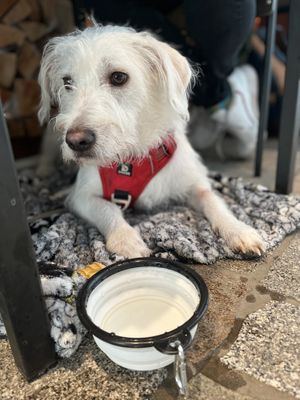   at Café Nullpunkt in Berlin