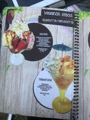 Vegan ice cream from the menu. at Källa Glassgård in Lottorp