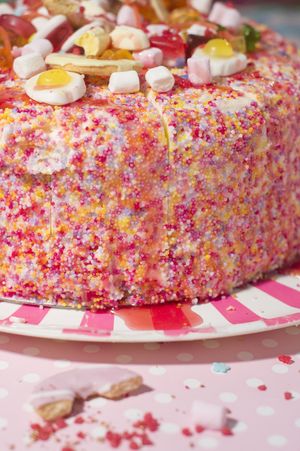 Vegetarian Angel Cake  at Shakespaw Cat Cafe in Stratford-upon-avon