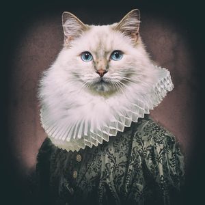 Shakespawcatcafe at Shakespaw Cat Cafe in Stratford-upon-avon