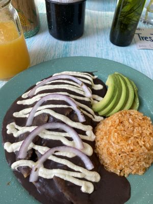   at iXiMeek | Plant Based Project in Bucerias