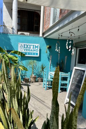 Entrance   at iXiMeek | Plant Based Project in Bucerias