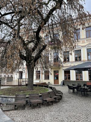 Rosehip Bistro, Vilnius  at RoseHip Bistro - Pylimo in Vilnius