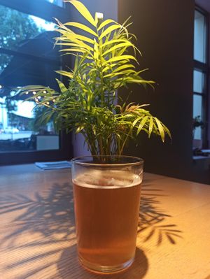  at RoseHip Bistro - Pylimo in Vilnius