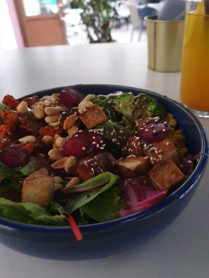 Marinated Tofu and Brown Rice Bowl at RoseHip Bistro - Pylimo in Vilnius