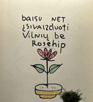 Need to translate this...  at RoseHip Bistro - Pylimo in Vilnius