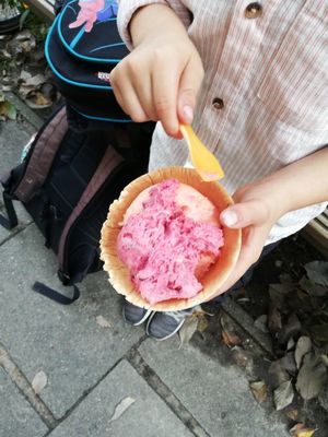 Blutorange und Pflaume at Frau Meis Eisladen in Hamburg