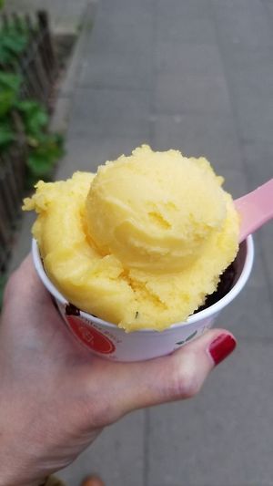 Chocolate + Passionfruit at Frau Meis Eisladen in Hamburg