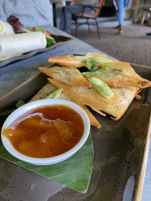 Samosas  at Colors in Wageningen