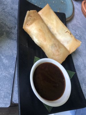 Vegan loempia’s  at Colors in Wageningen