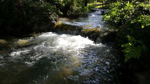 Pristine Maya Creek at Ghan Eden in Belmopan