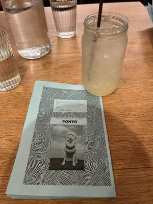Imposter Syndrome cocktail and December’s Dog of the Month. How cute is that?!  at Fermenter in Portland