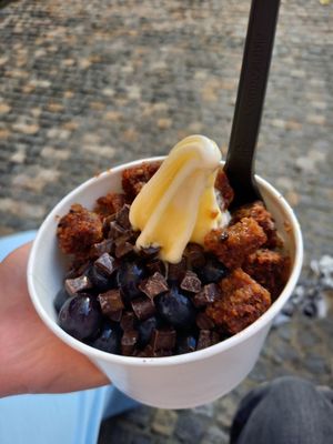 XS veganer Froyo mit veganem Karottenkuchen, Heidelbeeren, Schokolade und Maracujasoße at YOMARO - Domstrasse in Wurzburg