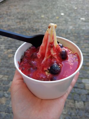 XS veganer Froyo mit Heidelbeeren, gerösteten Haselnüssen, Zartbitterschokolade und Erdbeersoße at YOMARO - Domstrasse in Wurzburg