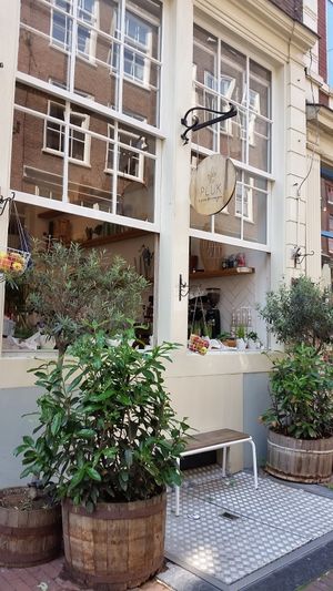 Outside at Pluk in Amsterdam