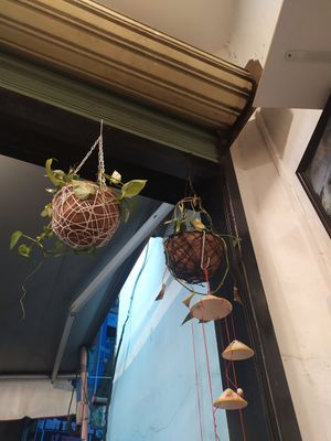 I visited the restaurant from the suggestion of a Russian vegan girl. She recommended many food especially burrito but I forgot to ordered it T_T It is sad that I cannot eat with h at Filthy Vegan in Ho Chi Minh City