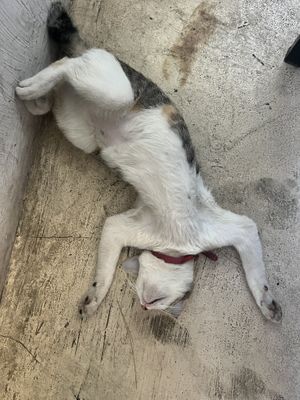   at Filthy Vegan in Ho Chi Minh City