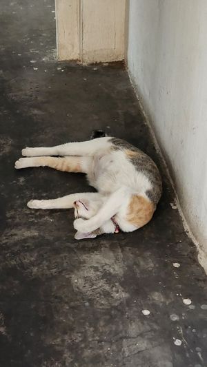  at Filthy Vegan in Ho Chi Minh City