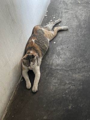   at Filthy Vegan in Ho Chi Minh City