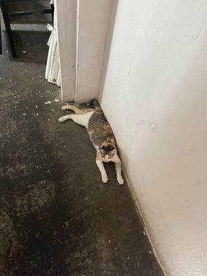   at Filthy Vegan in Ho Chi Minh City