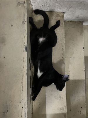   at Filthy Vegan in Ho Chi Minh City