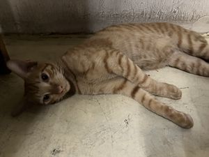   at Filthy Vegan in Ho Chi Minh City