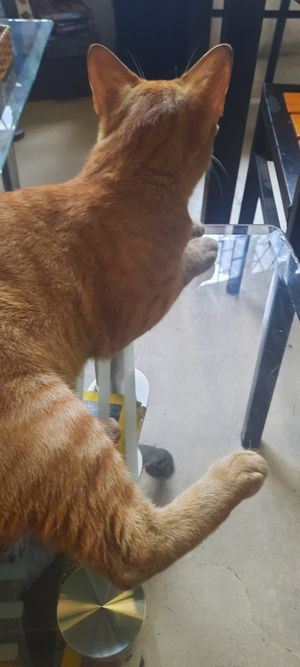  at Filthy Vegan in Ho Chi Minh City