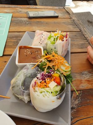 Summer rolls with vietnamese peanut dip at Green Flamingo in Innsbruck