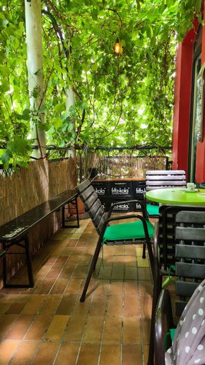 Balcony at Green Flamingo in Innsbruck