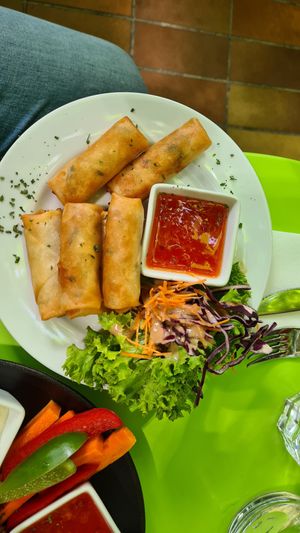 Spring roles at Green Flamingo in Innsbruck