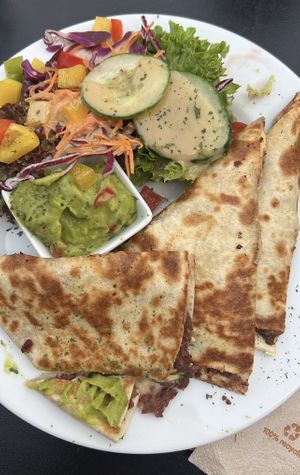   at Green Flamingo in Innsbruck