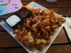  at Green Flamingo in Innsbruck