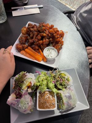   at Green Flamingo in Innsbruck