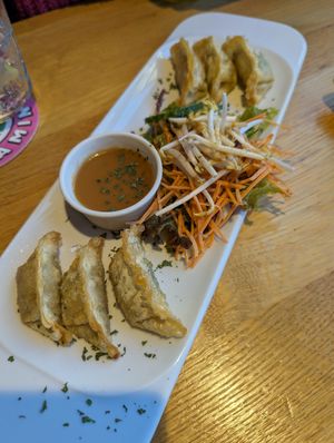  at Green Flamingo in Innsbruck